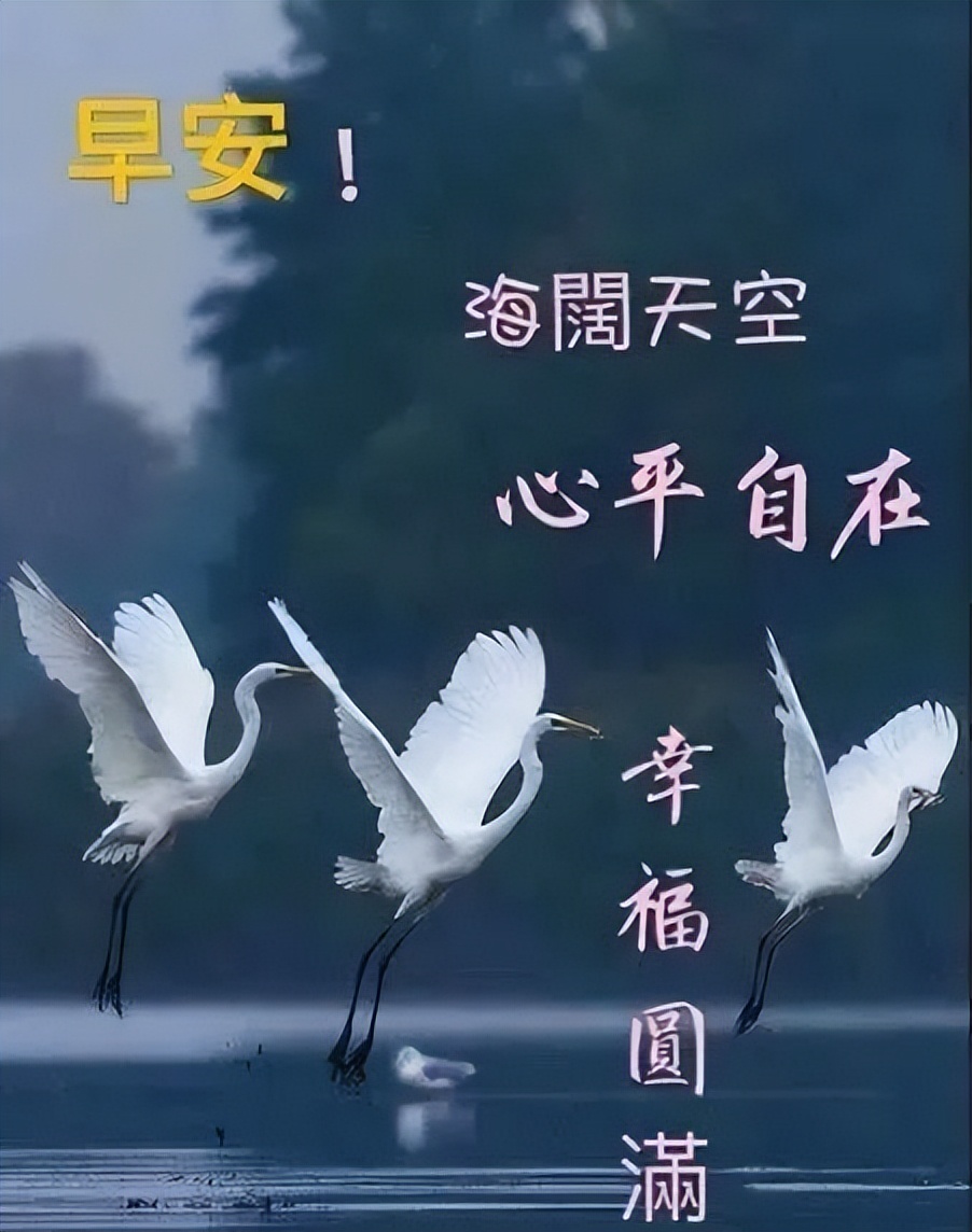 早上好祝福，送上开心，送上真诚的问候 平安吉祥 幸福安康图片