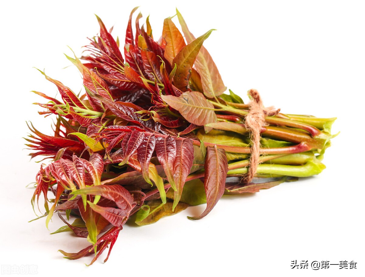 春天吃香椿的禁忌(香椿禁忌多不懂别乱吃)