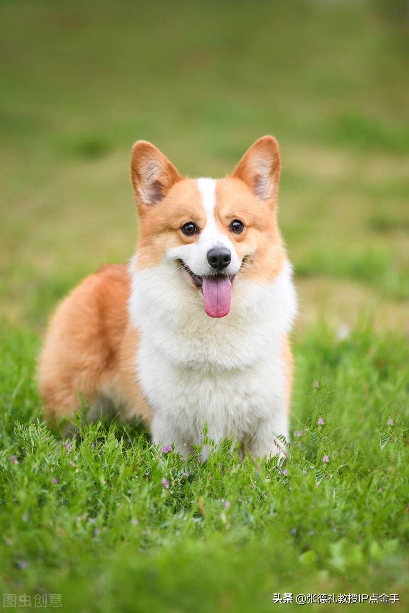 牛津大学图片（高关中）