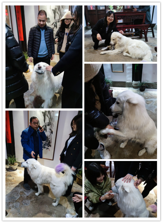 逆风飞扬，共赢未来