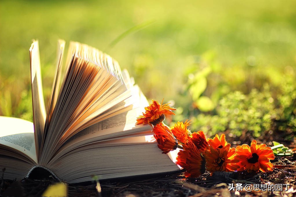 写给老年大学的诗行——通辽市老年大学《蜂巢》诗社