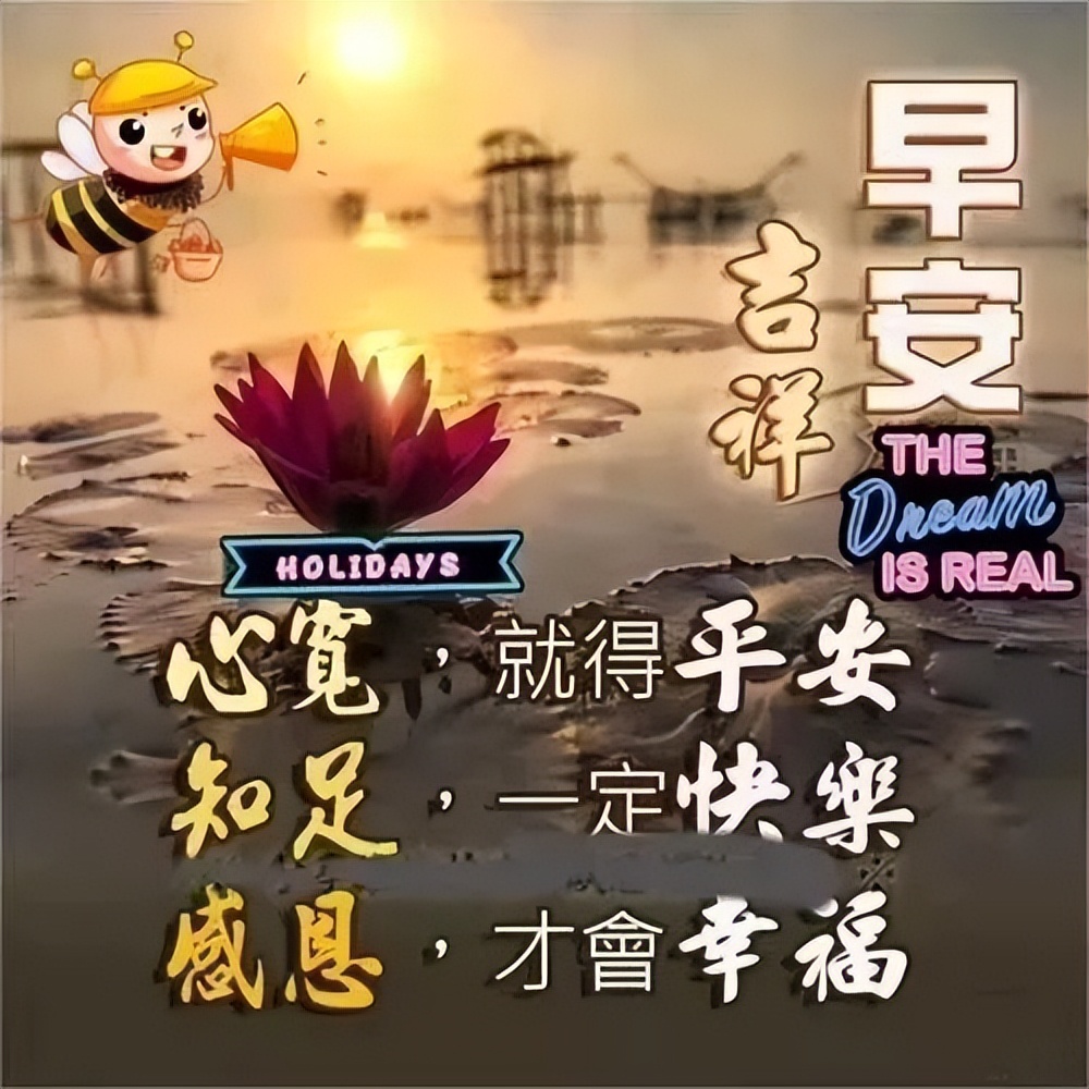 新的五月早上好鲜花图片合集 祝你天天好心情、事事都顺意图片