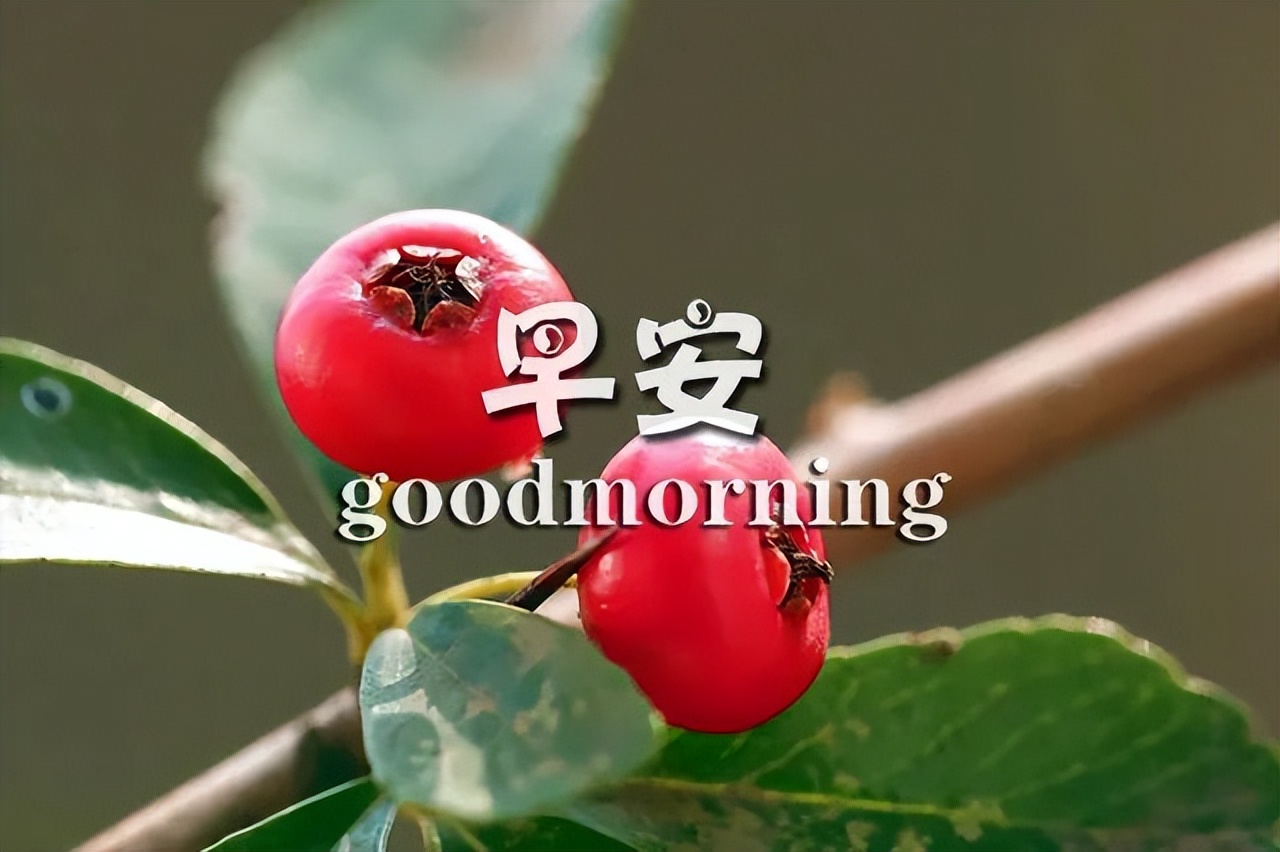漂亮的早上好图片 早上好动态图片祝福语 感恩的心开启美好的一天图片