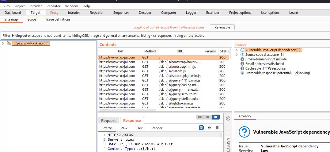 Web渗透_扫描工具Burpsuite
