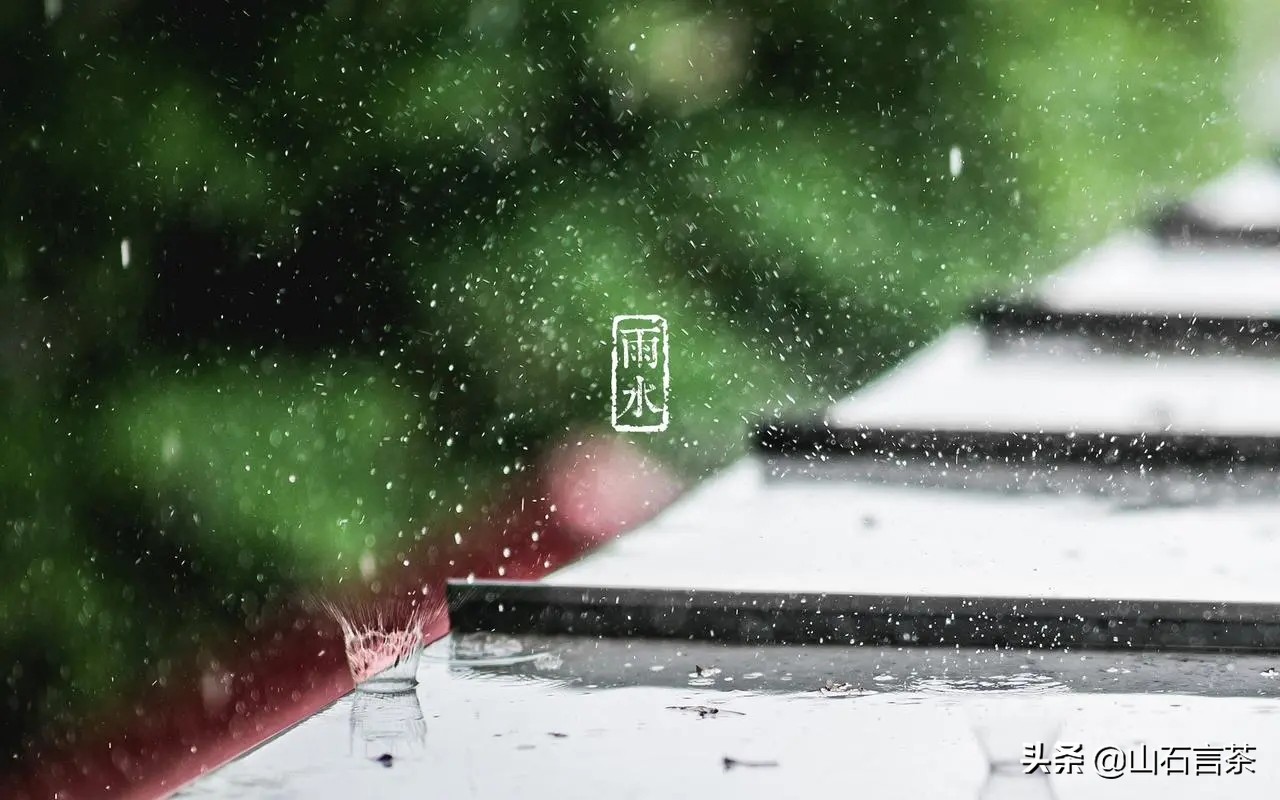 节气茶之雨水：好雨知时节，当春乃发生