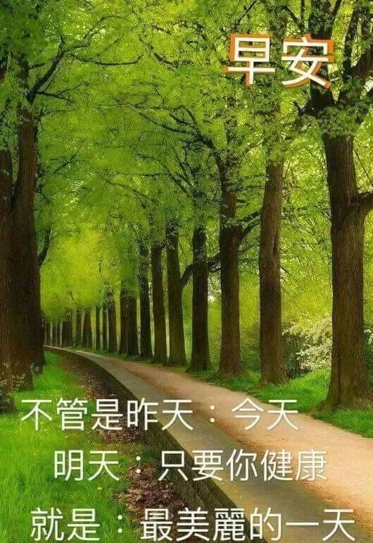 漂亮的早上好祝福图片 早上好的温馨问候图片 开心在今天 健康每一天图片