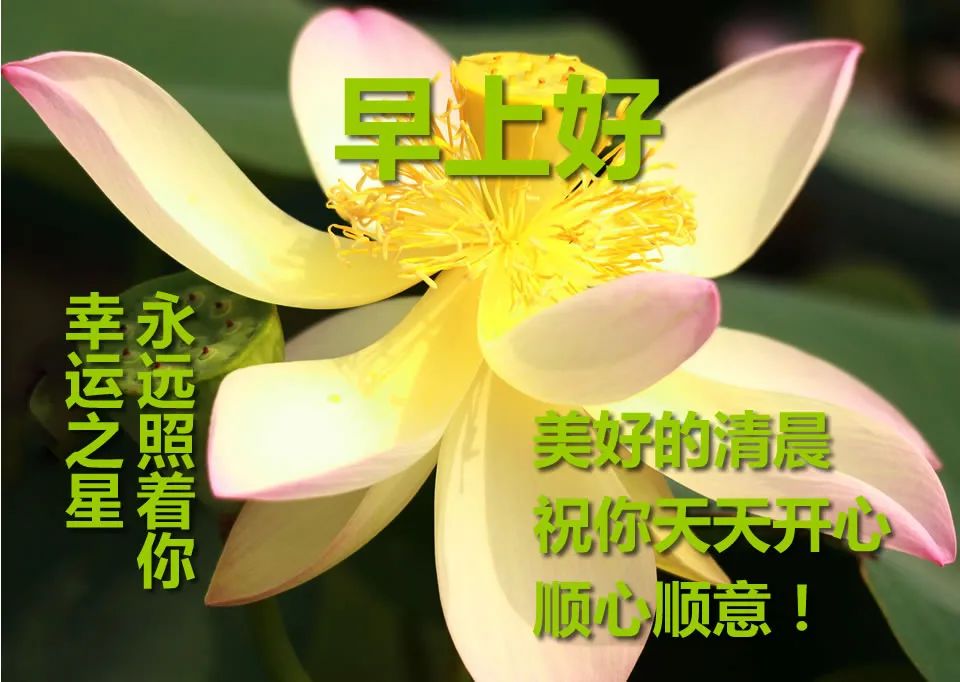 周六更新早上好表情包，秋日渐凉，愿你平安，早安吉祥，幸福安康图片