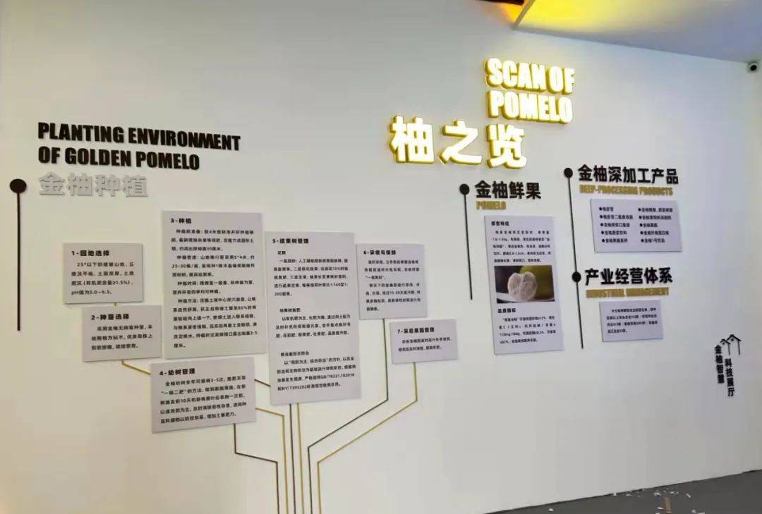 梅州金柚產業展廳 | 振邦案例