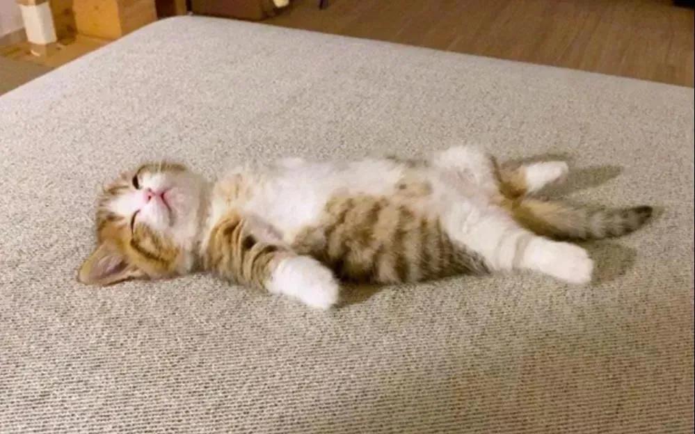 选择躺平到底对不对到底应不应该躺平