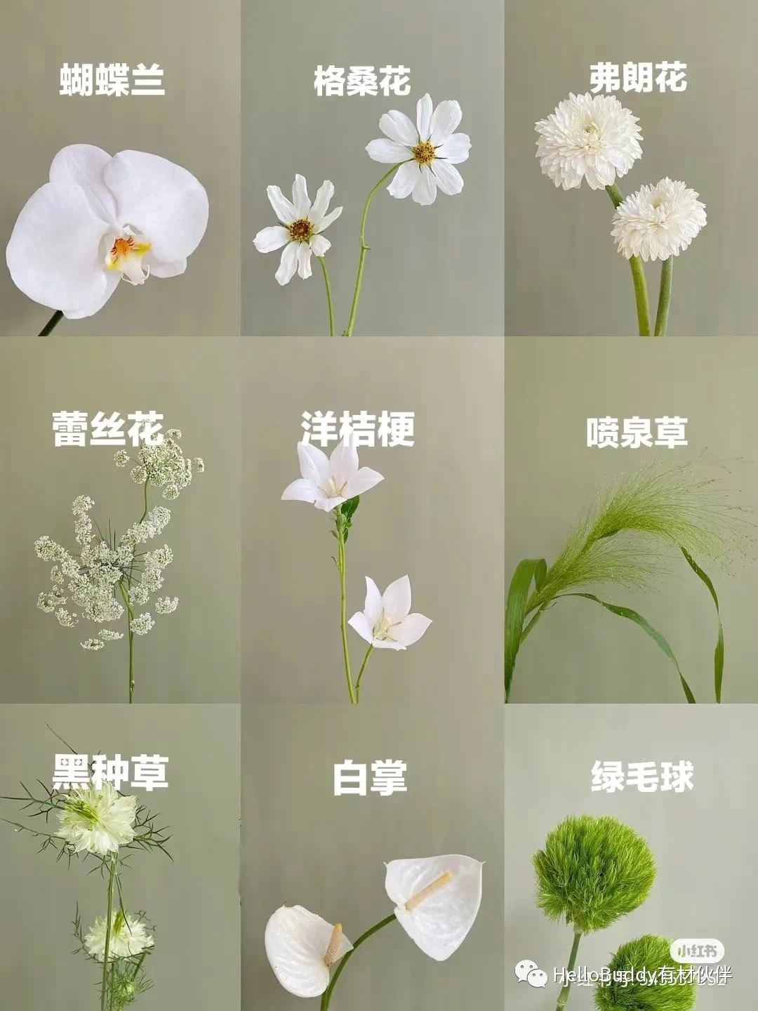 露营玩什么|从鲜花到干花，做浪漫的收藏家