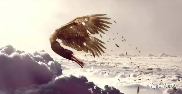 《天道》：悲剧人物告诉我们的道理更珍贵