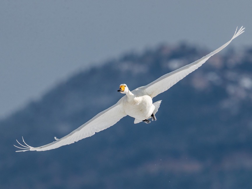 世界地球日（The World Earth Day），让我们用影像珍爱地球