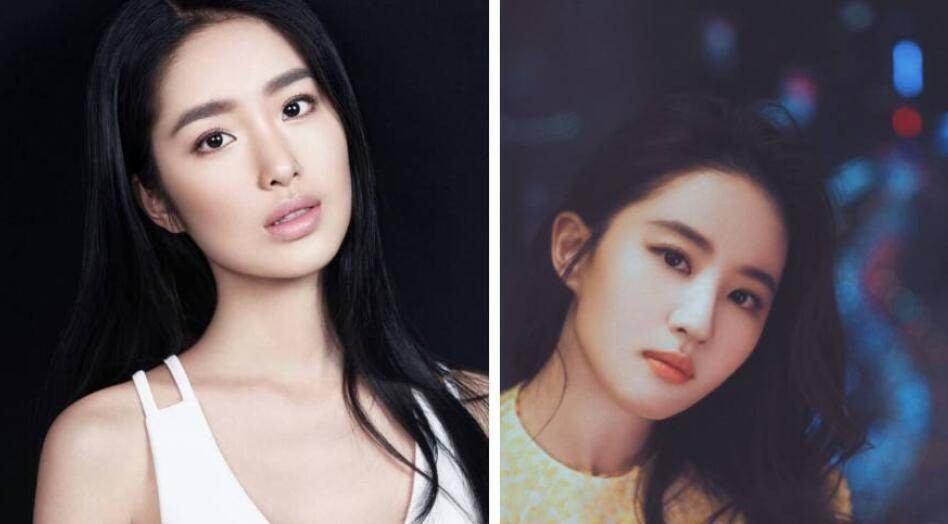 刘亦菲和杨采钰,都是陈金飞力捧的女星,境遇却大不相同