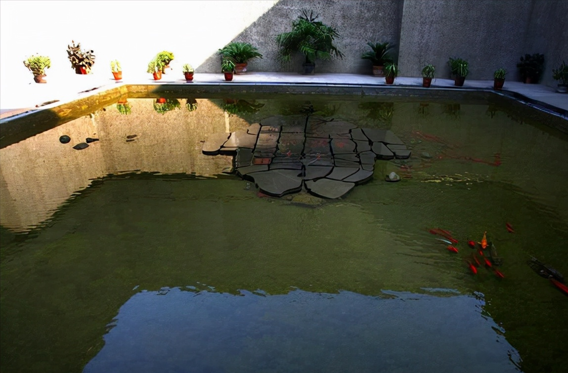 河南这2所大学毕业证一文不值，早已被点名曝光，家长报考需谨慎