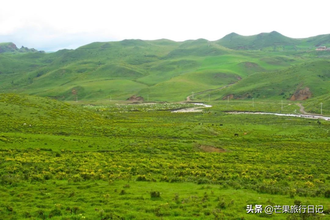 甘肅經濟“最窮”的州，與四川青海交界，被稱為“小西藏”