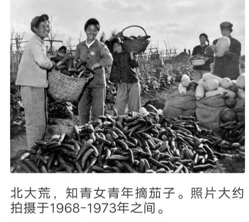 毛主席为什么要让知识青年上山下乡？