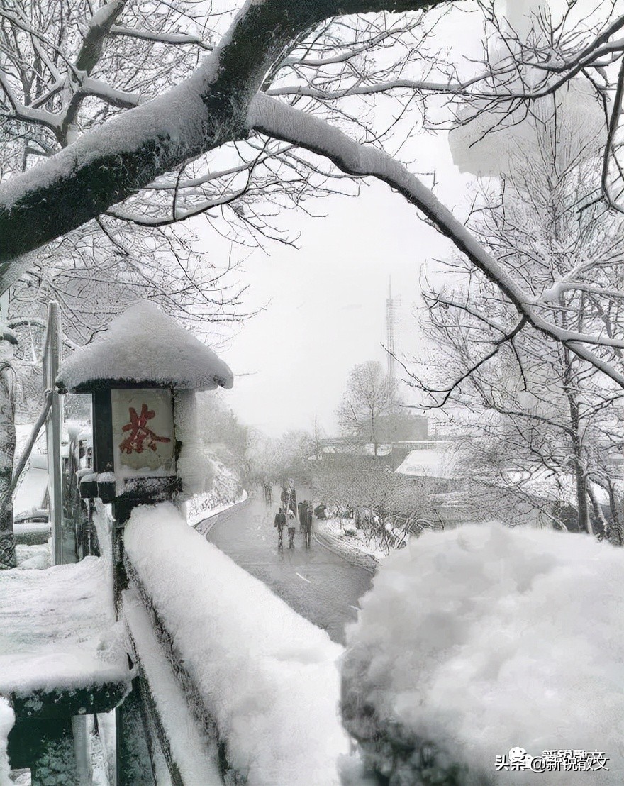 作为一个南方人，我想问一句：你那里下雪了吗