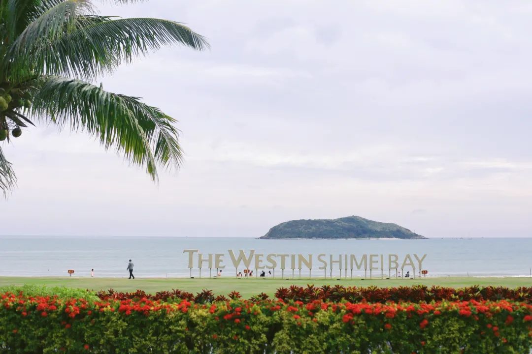 为了这些美食就值得去海南万宁！这四家特色餐厅，哪个都不能错过