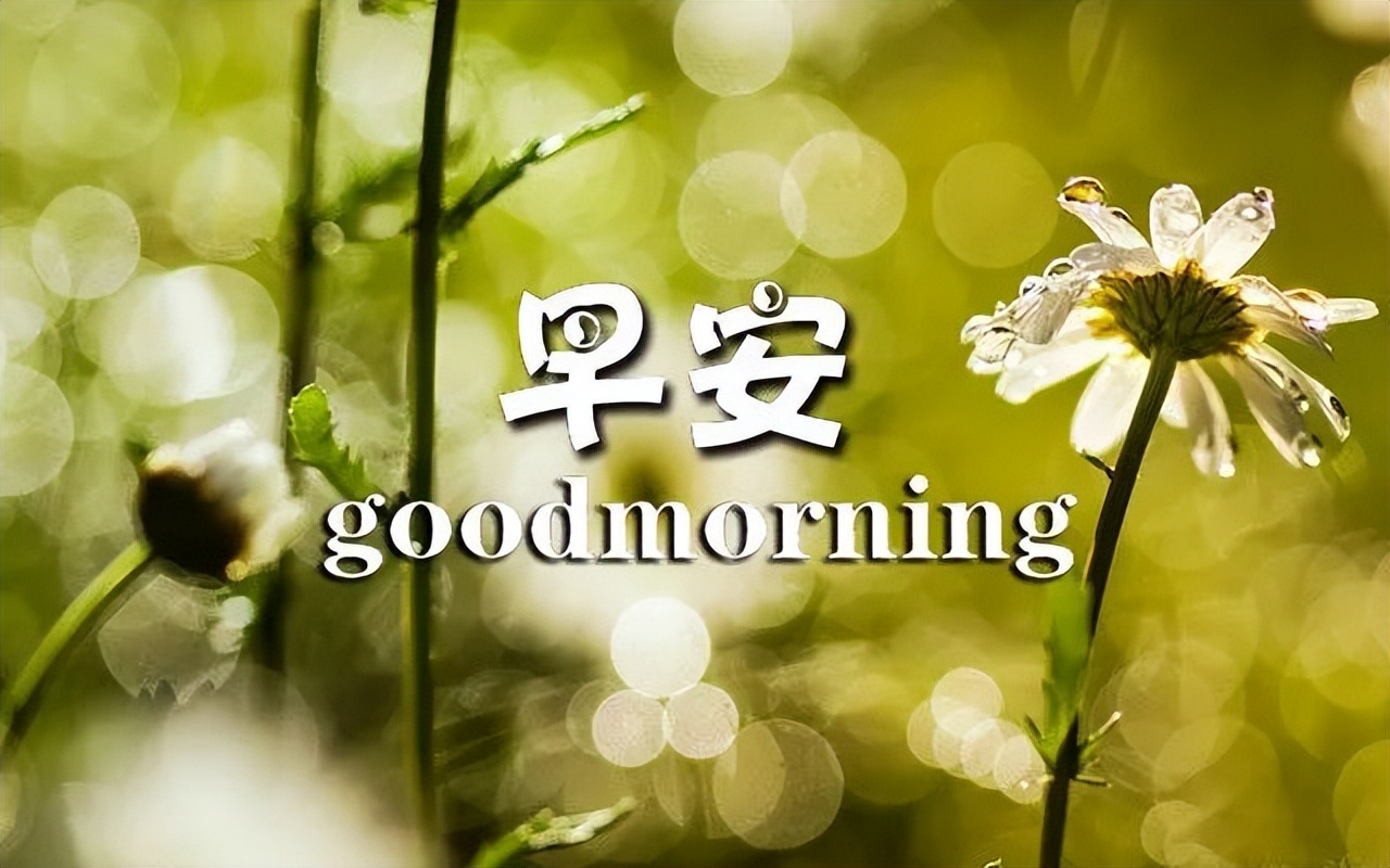 精选好看的早上好动态美图关心话语，一个问候带给你一个新的心情图片