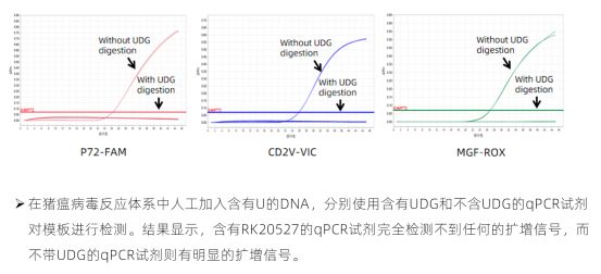 精品推荐 | Abclonal UDG酶－轻松控制气溶胶污染