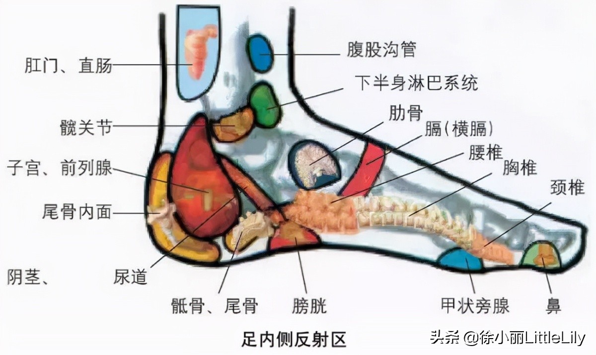 灸法选穴的基本原则