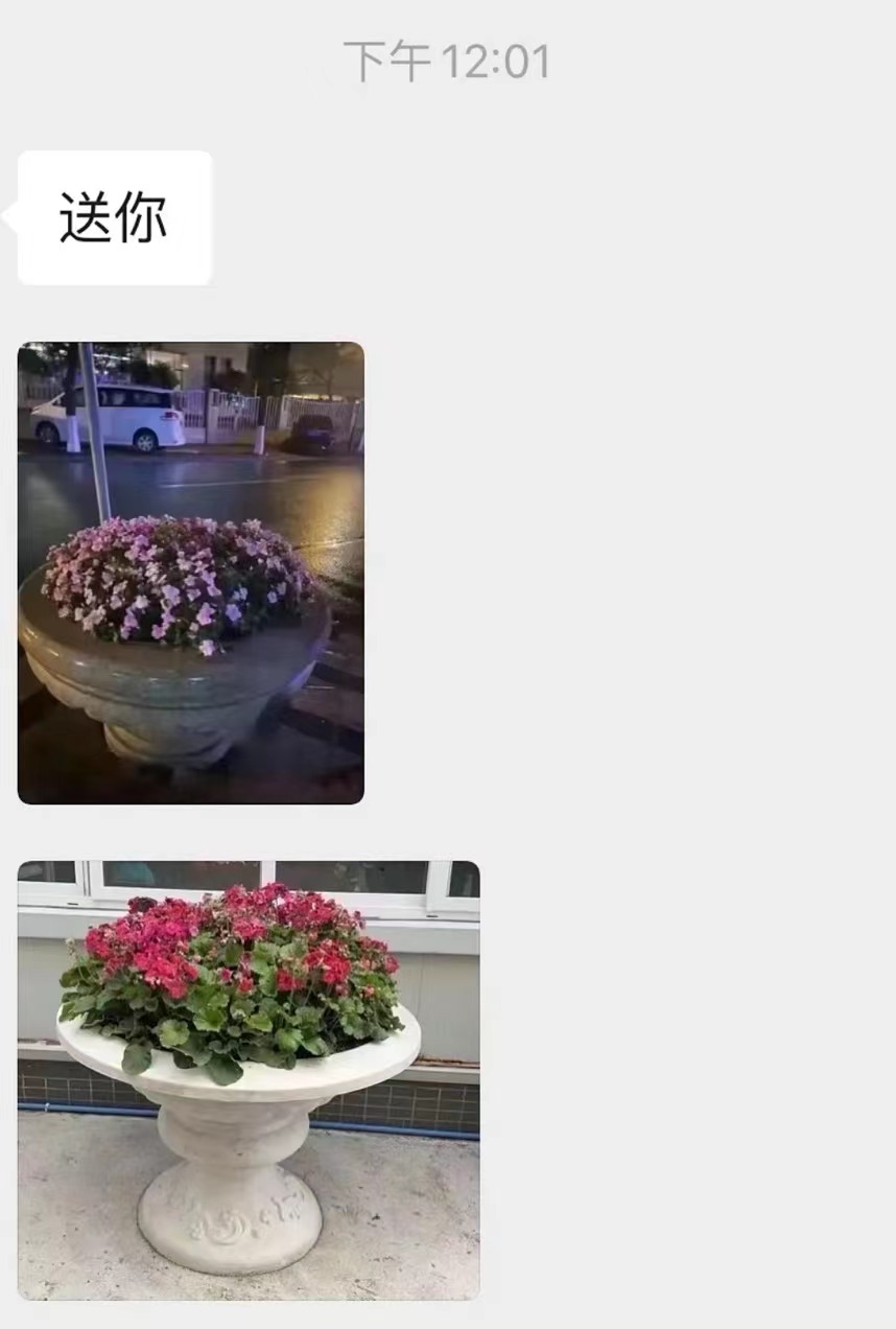 情人节是互相送礼物吗（情人节需要互相送礼吗）
