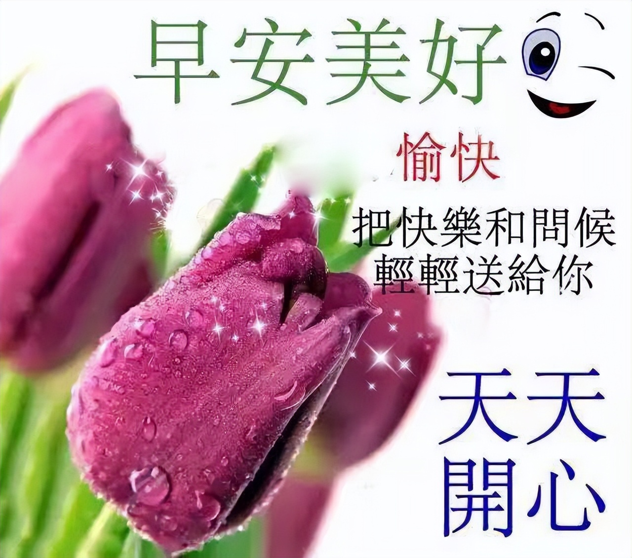 新的一周早上好祝福图片 开启健康美好的一天 幸福常在、好运不断图片