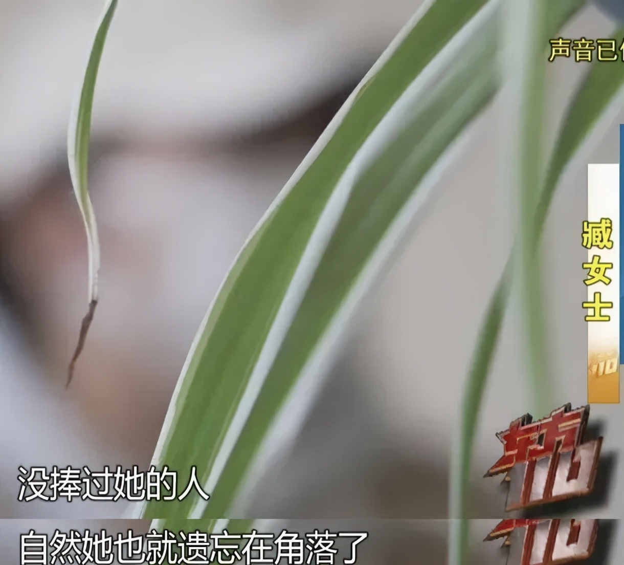 “迪士尼名媛”：骗了2000多万，给儿子买爱马仕，家里像垃圾场