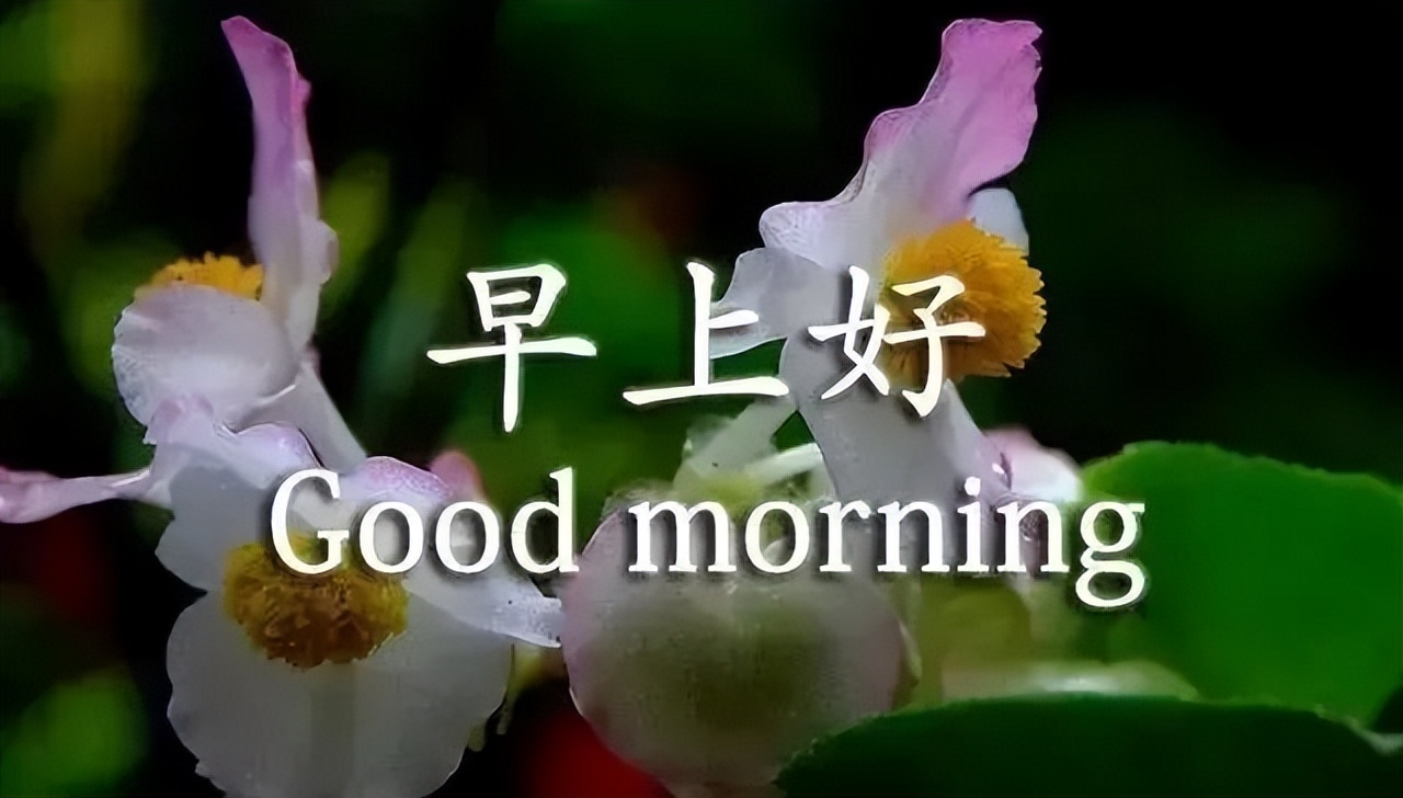 今日最新早上好动图表情包祝福图集 早安吉祥、心想事成、万事如意图片