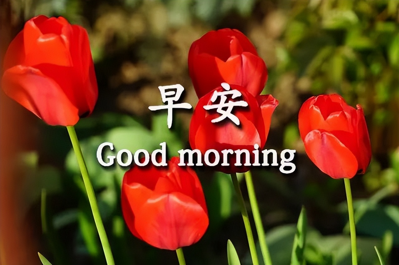 早上好问候祝福语录动画表情图片 清晨曙光初现，幸福就在你身边图片