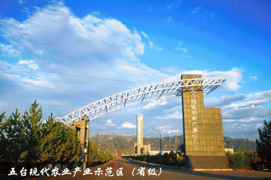 這就是五臺