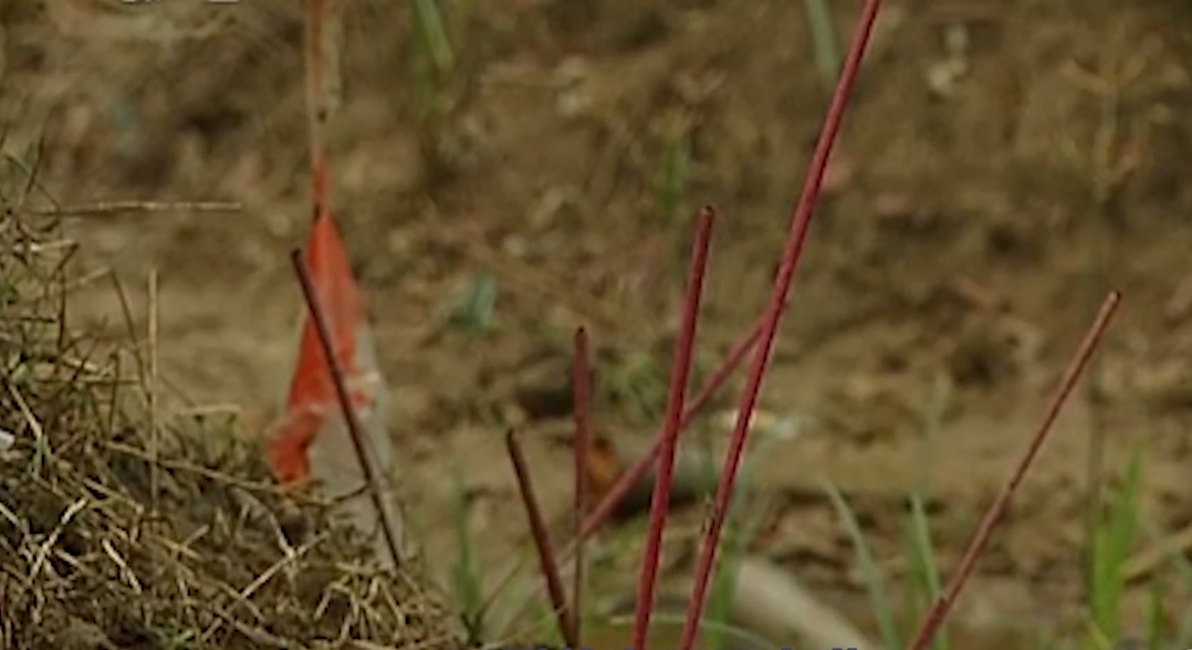 2011年大学生嗜游戏如命，沉溺网吧10年不成人形，归家5天后惨死