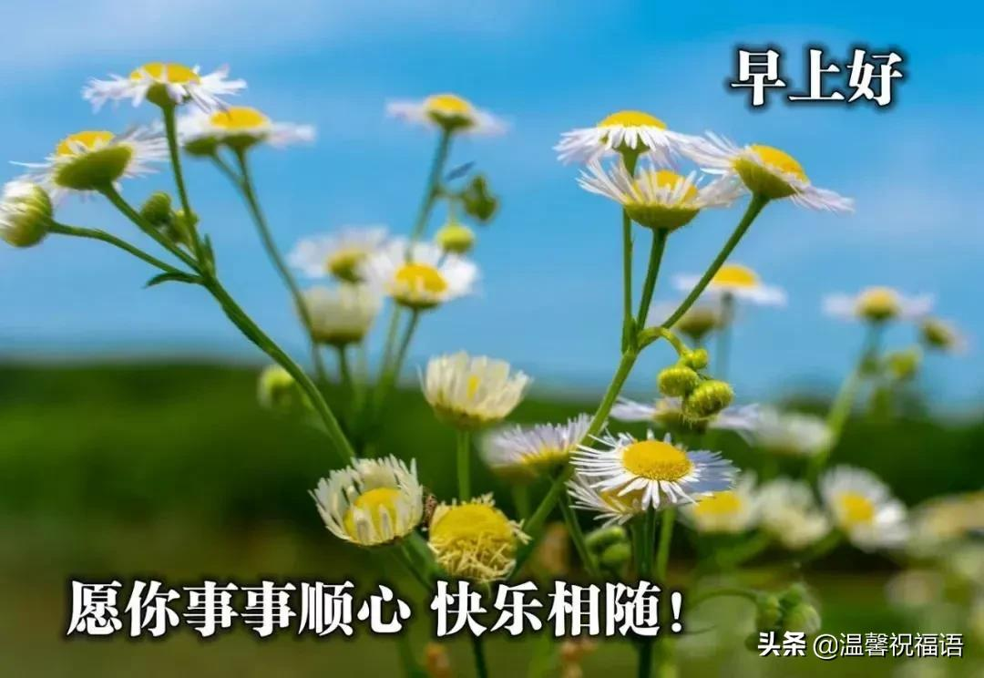 12月17日最美早上好问候图片,清晨早安心语一句话短语