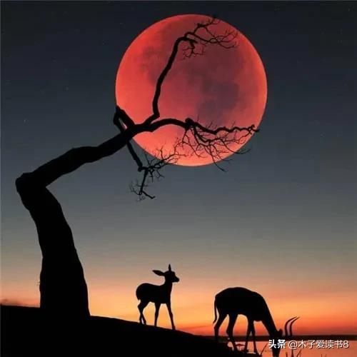 四年级下语文知识清单