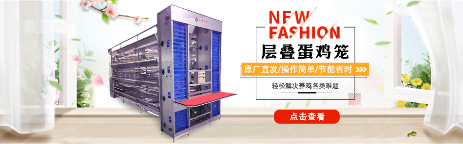 遠卓農(nóng)牧告訴您，想養(yǎng)好蛋雞 需要注意的六個“不能”