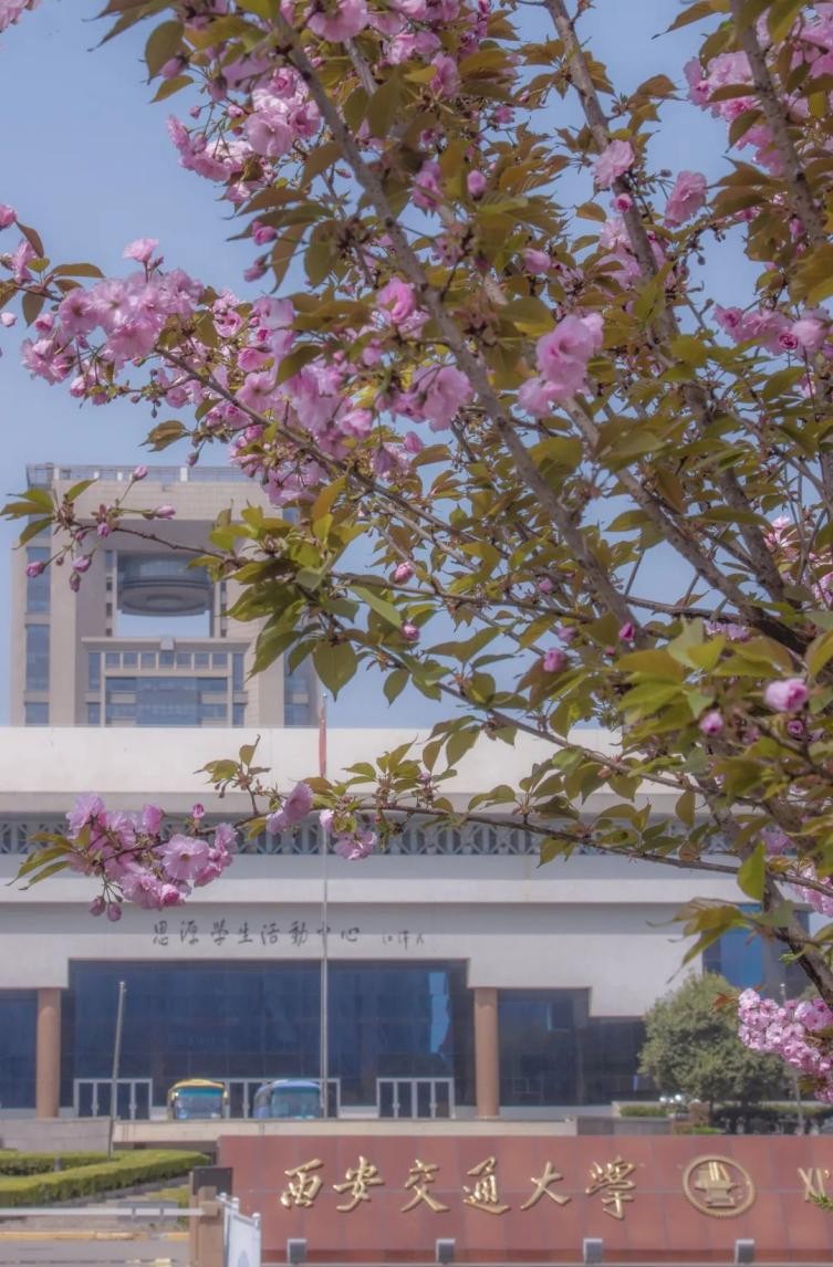 招生政策最新“情报”！交大招生办副主任提醒考生：志愿填报牢记这3点！