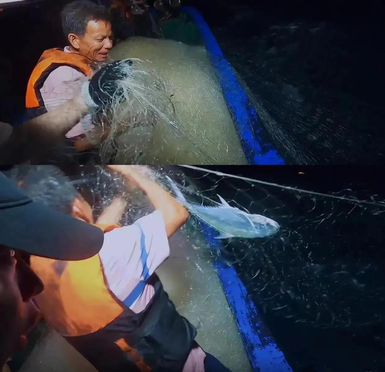 《向往的生活》被质疑造假是有原因的，道具鱼这事，确实是冤枉了