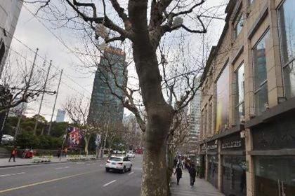 上海东方路之坟墩路传说：谣言被终结