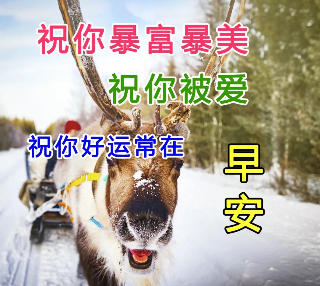 人生无常，努力做一个温暖的人，不卑不亢，清澈生活。早安