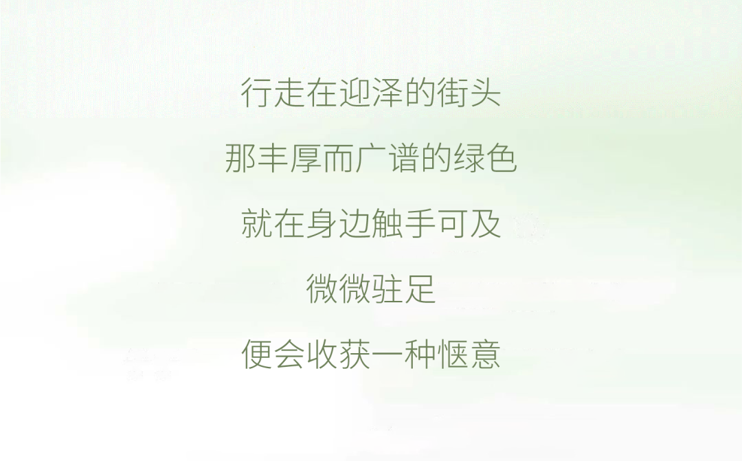 夏日迎泽，行走在无尽绿意中