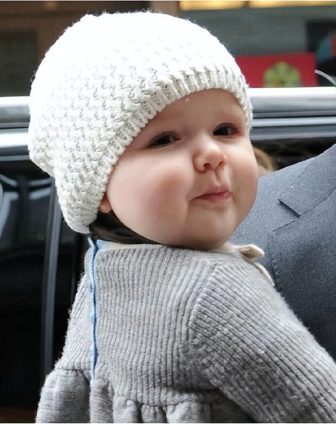 超级萌宠贝小七:一个表情赢得世人钟爱,遗传到父亲的高颜值 - 114货源