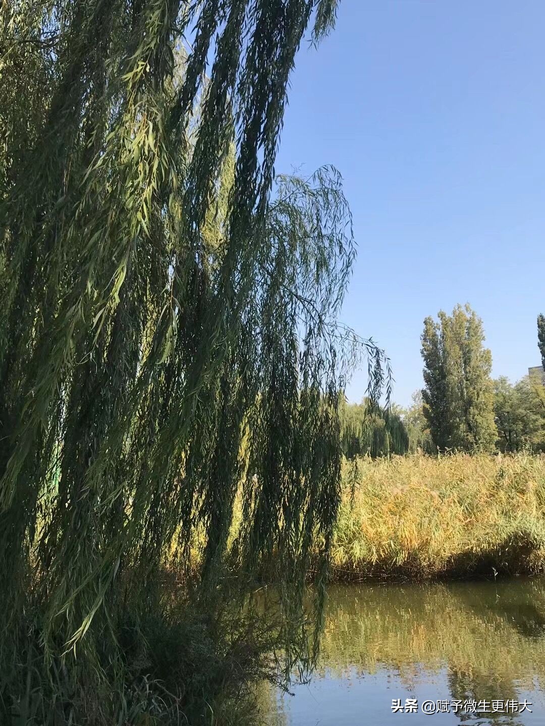 秋趣——闲吟秋景外 万事觉悠悠