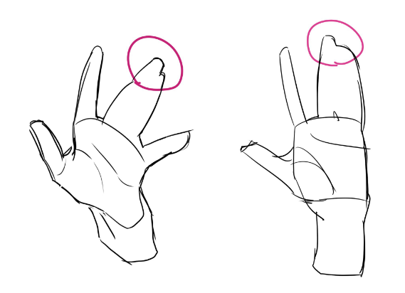 绘画初学者如何正确画手？教你基础的手部手势绘制思路