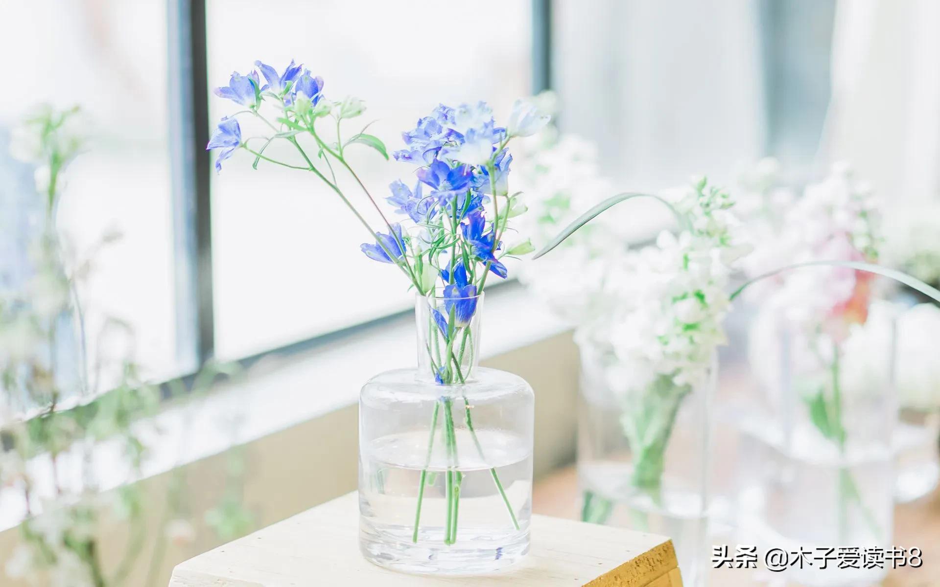 四年级下语文知识清单