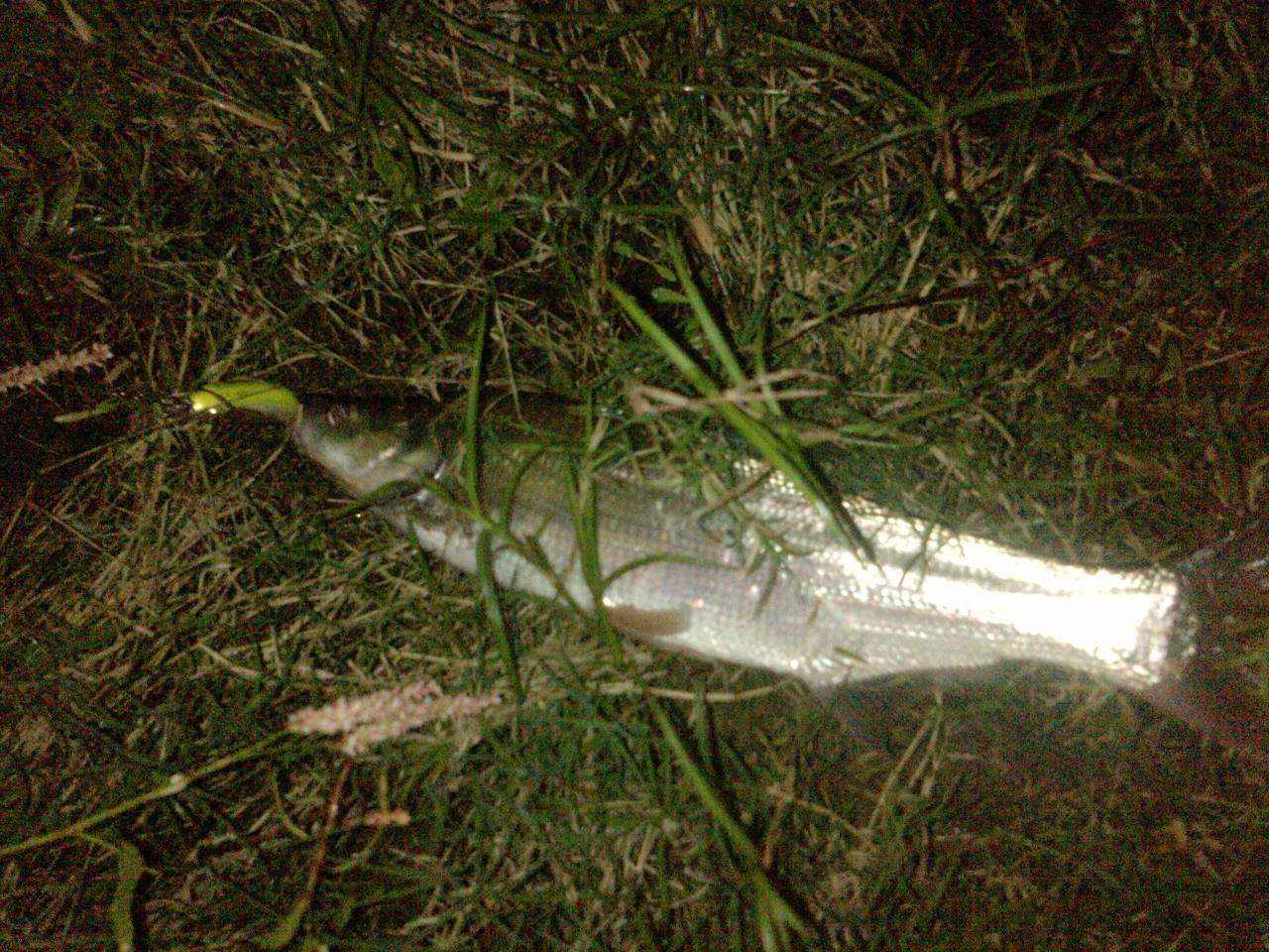 长沙28岁男子深夜遭遇水怪，有手有脚似婴儿，专家得知捧腹大笑