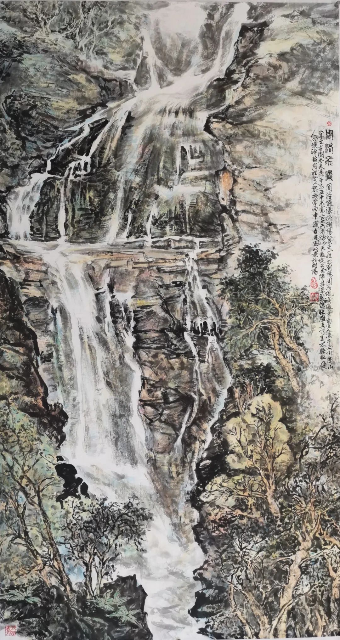 �彡���� �ݷ�ͳ�������Խ������������Ʒ����