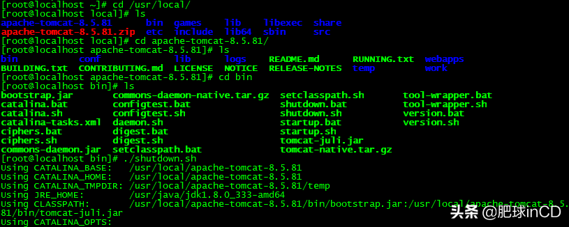 完整測試CentOS 8遷移到阿里龍蜥（Anolis）8 全過程