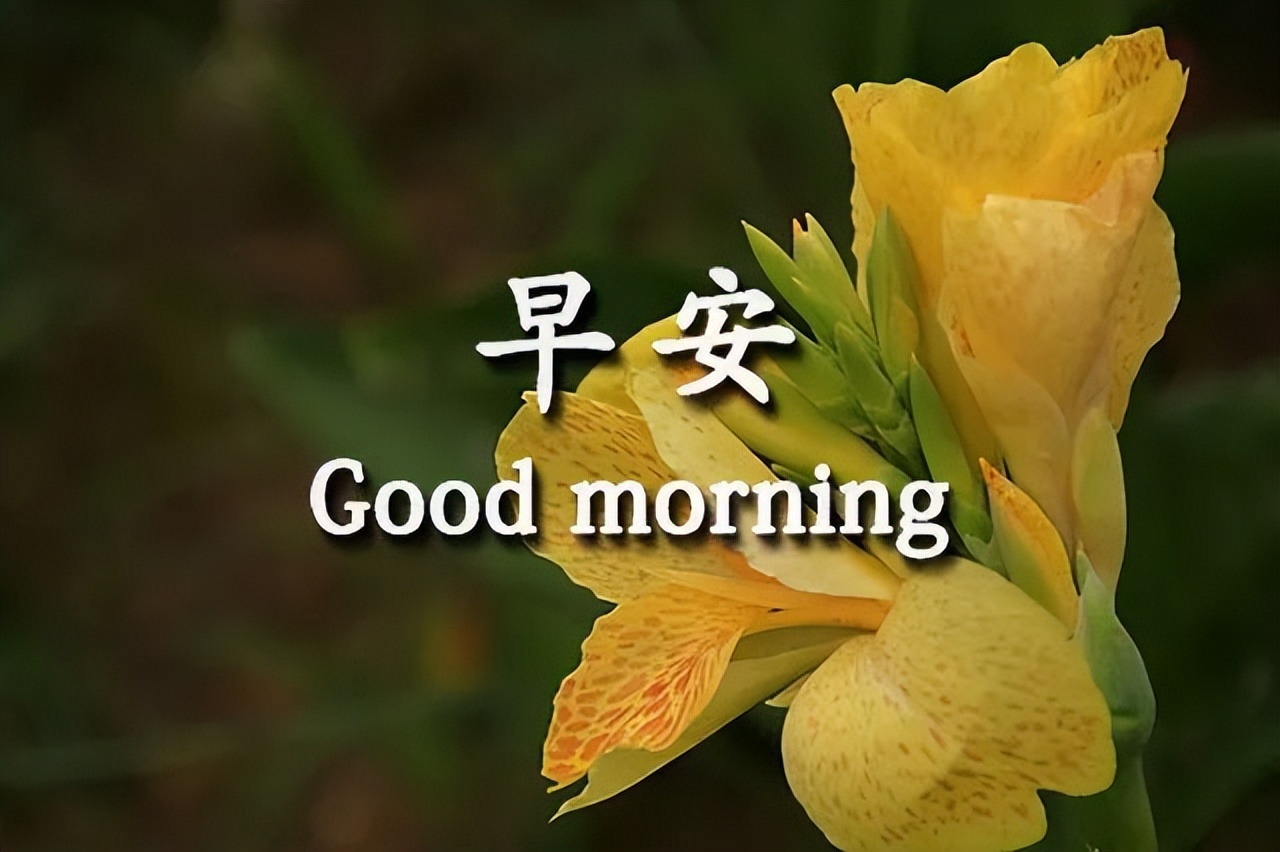 今天早安祝福语，新的一天早上好问候语，天虽然冷，问候却很温暖图片