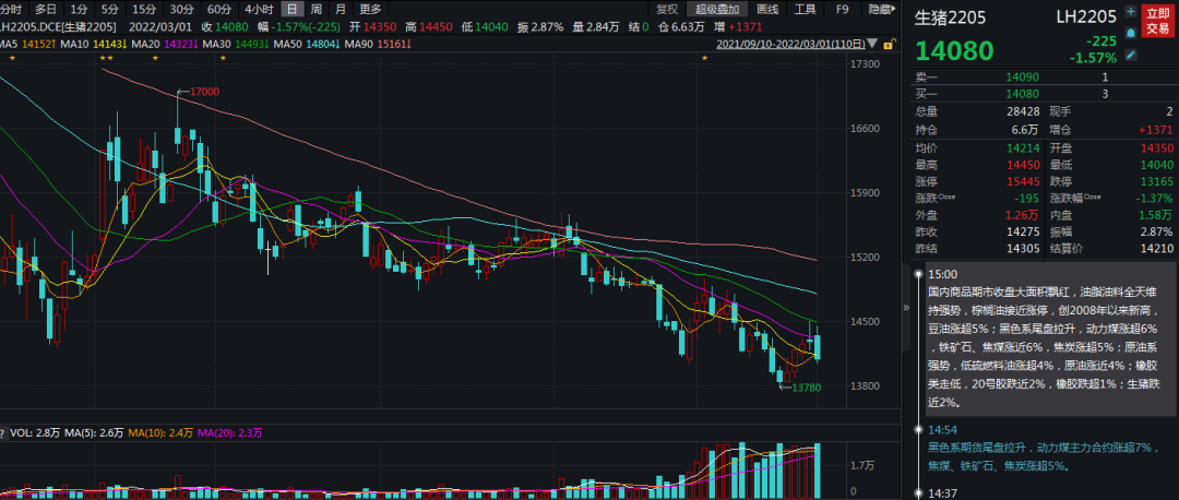 收储陆续开启，生猪欲震荡“磨底”？