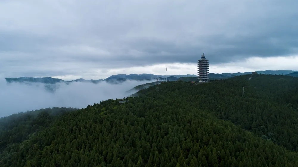元旦攻略!牺宝承包你的2022第一份出游计划